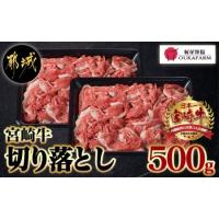 ふるさと納税 宮崎牛切り落とし500g_AA-6510_(都城市) 宮崎牛 切り落とし スライス すき焼き しゃぶしゃぶ 牛丼など 500g 250g×2P 宮崎県都城市 | ふるなび(ふるさと納税)