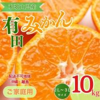 ふるさと納税 【先行予約】【ご家庭用】和歌山有田みかん約10kg(2L、3Lサイズ)〇  ｜ みかん 和歌山県美浜町 | ふるなび(ふるさと納税)