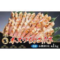ふるさと納税 ひとくちサイズ お刺身も出来る！生冷凍ズワイガニ爪下 約1kg（北海道産・ロシア・アメリカ産） ABB014 北海道網走市 | ふるなび(ふるさと納税)