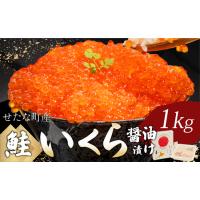 ふるさと納税 北海道 せたな町産 笹谷商店の鮭いくら醤油漬け 1kg(500g×2パック) 天然秋鮭 鮭卵 お取り寄せ 丼 パスタ 通販 冷凍 海鮮 せ.. 北海道せたな町 | ふるなび(ふるさと納税)