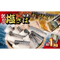 ふるさと納税 【訳あり】 塩さば 切身 約1kg さば 千葉県銚子市 | ふるなび(ふるさと納税)