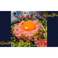 ふるさと納税 天然まぐろ ネギトロ 1.2kg (80g×15袋) セット 詰め合わせ ねぎとろ 天然 まぐろ 鮪 マグロ 魚 魚介 魚介類 高級 冷凍ネギト.. 静岡県浜松市 | ふるなび(ふるさと納税)
