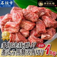 ふるさと納税 石垣島産 黒毛和牛 新里牛 　煮込み用贅沢角切り（500g×2） 合計1kg以上 　SZ-44 沖縄県石垣市 | ふるなび(ふるさと納税)