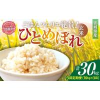 ひとめぼれ 玄米 30kg(食品)の商品一覧 通販 - Yahoo!ショッピング ひとめぼれ 玄米 30kg(食品)の商品一覧 通販 - Yahoo!ショッピング