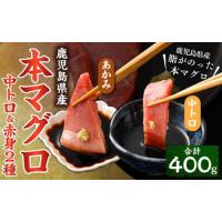 ふるさと納税 BS-379 鹿児島県産本マグロ 中トロ＆赤身セット 合計400g 本マグロ 大トロ 赤身 刺し身 セット 魚 【2026年1月下旬より順次.. 鹿児島県薩摩川内市 | ふるなび(ふるさと納税)