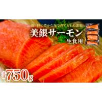 ふるさと納税 美銀サーモン（生食用）750g 冷凍 切り身 鮭 さけ サケ シャケ 銀鮭 お刺身 カルパッチョ おつまみ 宮城県石巻市 | ふるなび(ふるさと納税)