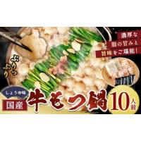 ふるさと納税 国産牛もつ鍋10人前 ちゃんぽん 濃縮スープ付（醤油味） もつ ホルモン 鍋 お鍋 セット 冷凍 岡垣町 福岡県岡垣町 | ふるなび(ふるさと納税)