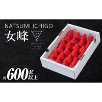 ふるさと納税 ≪先行予約≫ NATSUMI ICHIGO 女峰 約600g以上 （2027年1月〜6月配送） いちご フルーツ 果物 _mk060-002 香川県三木町 | ふるなび(ふるさと納税)