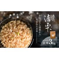 ふるさと納税 ＜令和7年産＞ 京都夜久野産 清雫(せいな)コシヒカリ 玄米 (3kg) ふるさと納税 福知山市 令和7年度産 先行 定期便 選べる 容量 .. 京都府福知山市 | ふるなび(ふるさと納税)