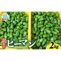 訳あり（ピーマン）｜野菜 | 食品 のおすすめ人気商品一覧 通販