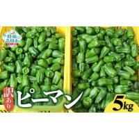激安 わけあり 訳あり)（ピーマン）｜野菜 | 食品 の商品一覧 通販