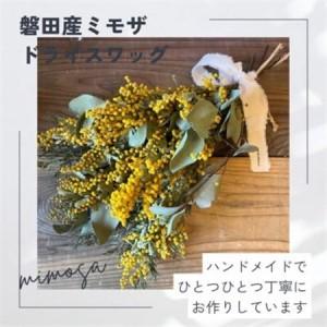 ミモザ（生花） | 花、ガーデニング のおすすめ人気商品一覧 通販
