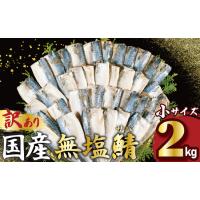 ふるさと納税 訳あり 国産 無塩さば 約2kg 小サイズ サバ 千葉県銚子市 | ふるなび(ふるさと納税)