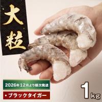 ふるさと納税 至福の大粒むきえび　背ワタ処理済 1kg【2026年12月より順次発送】　ブラックタイガー 冷凍 ムキエビ  大型 海老 兵庫県淡路市 | ふるなび(ふるさと納税)