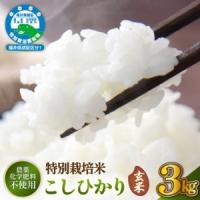 ふるさと納税 【令和7年産 】 特別栽培米コシヒカリ3kg 農薬化学肥料不使用(玄米） [e81-a003_02] 福井県越前町 | ふるなび(ふるさと納税)