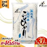 ふるさと納税 【6回定期便】 無洗米 石川米 こしひかり 5kg 無洗 石川県宝達志水町 | ふるなび(ふるさと納税)
