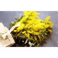 ミモザ（生花） | 花、ガーデニング のおすすめ人気商品一覧 通販