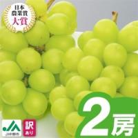 ふるさと納税 【2026年発送】訳ありシャインマスカット2房1kg以上　JA中野市から産直【配送不可地域：離島】【1716008】 長野県中野市 | ふるなび(ふるさと納税)