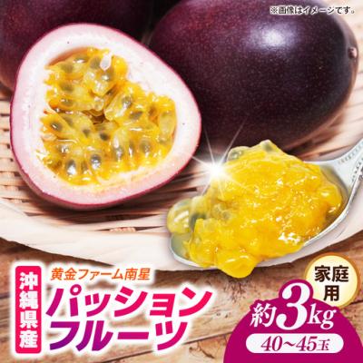 フルーツ パッションフルーツ｜トロピカルフルーツ｜フルーツ｜食品