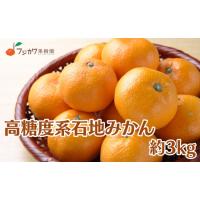 ふるさと納税 2026年冬よりお届け 高糖度系石地みかん 約3kg 柑橘類 フルーツ 果物 ミカン  香川県観音寺市 | ふるなび(ふるさと納税)