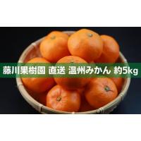 ふるさと納税 2026年秋よりお届け フジカワ温州みかん 約5kg フルーツ 果物類 柑橘類 ミカン 蜜柑 くだもの  香川県観音寺市 | ふるなび(ふるさと納税)