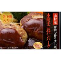 ふるさと納税 赤村 養生館 豚肉で作った特製 手ごねハンバーグ 20個 (110g〜120g × 20個) ふるさと納税 ハンバーグ 手ごね ふるさと ランキン.. 福岡県赤村 | ふるなび(ふるさと納税)