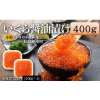 ふるさと納税 A1594.いくら醤油漬（サーモントラウト・紅鮭）400g（200g×2パック） 福岡県新宮町 | ふるなび(ふるさと納税)