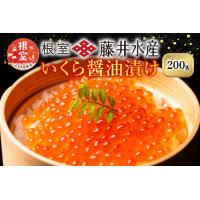 ふるさと納税 [鮭匠ふじい]いくら醤油漬(小分け)50g×4P A-42095 北海道根室市 | ふるなび(ふるさと納税)