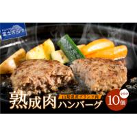 ふるさと納税 熟成肉 ハンバーグ 山梨県産 10個 セット 冷凍 ハンバーグ 山梨県富士吉田市 | ふるなび(ふるさと納税)