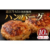 ふるさと納税 近江牛A5と国産豚肉の手ごねハンバーグ10個入《近江牛A5ランクメス牛一頭買いみのや》近江牛ハンバーグ近江牛のハンバーグ近江牛ハ.. 滋賀県彦根市 | ふるなび(ふるさと納税)