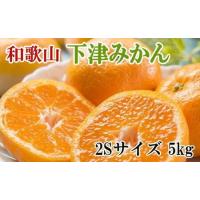 ふるさと納税 ［産直・秀品］和歌山下津みかん約5kg（2Sサイズ）★2026年11月中旬頃より順次発送［TM72］ 和歌山県海南市 | ふるなび(ふるさと納税)