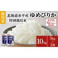 ふるさと納税 無洗米 北海道赤平産 ゆめぴりか 10kg (5kg×2袋) 特別栽培米 米 北海道 北海道赤平市 | ふるなび(ふるさと納税)