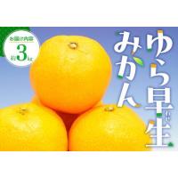 ふるさと納税 ゆら 早生 みかん 約3kg【2026-9月下旬〜2026-11月上旬配送】 | みかん 香川県高松市 | ふるなび(ふるさと納税)