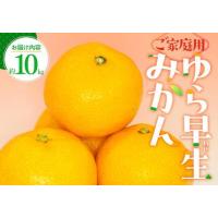 ふるさと納税 ご家庭用 ゆら早生 みかん 約10kg【2026-9月下旬〜2026-11月上旬配送】 | みかん 香川県高松市 | ふるなび(ふるさと納税)