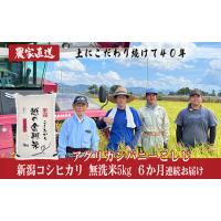 ふるさと納税 J8-7MN056F【6ヶ月連続お届け】新潟県長岡産コシヒカリ無洗米5kg（特別栽培米） 新潟県長岡市 | ふるなび(ふるさと納税)