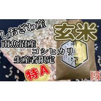 ふるさと納税 【定期便】玄米 南魚沼しおざわ産コシヒカリ2Kg×9ヶ月 新潟県南魚沼市 | ふるなび(ふるさと納税)