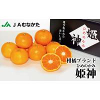 ふるさと納税 急速冷凍！冷凍みかん JAむなかた柑橘ブランド「姫神」2kg 甘くておいしいみかん【JAほたるの里】_HA0269 福岡県宗像市 | ふるなび(ふるさと納税)