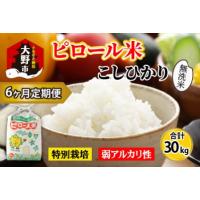 ふるさと納税 【令和8年産 新米】【6ヶ月定期便】こだわりの米！弱アルカリ性のピロール米 こしひかり 無洗米 5kg×6回 計30kg [F-009003] 福井県大野市 | ふるなび(ふるさと納税)