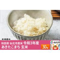 ふるさと納税 秋田県 仙北市産米 令和4年産 ※3月下旬頃〜発送 あきたこまち 玄米 30kg 秋田県仙北市 | ふるなび(ふるさと納税)