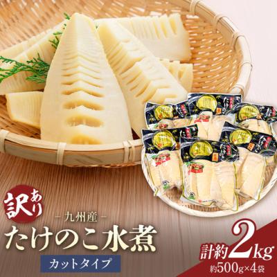 訳あり（たけのこ）｜野菜 | 食品 の商品一覧 通販 - Yahoo!ショッピング