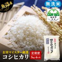 ふるさと納税 無洗米 定期便 6ヶ月 コシヒカリ 5kg 米 白米 お米 魚沼産コシヒカリ 新潟米 新潟 魚沼市 定期 6回 新潟県魚沼市 | ふるなび(ふるさと納税)