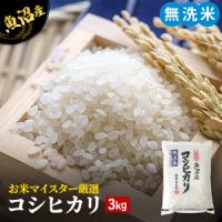 ふるさと納税 令和5年産 無洗米 お米マイスター厳選 魚沼産 コシヒカリ 100％ 3kg ( 米 お米 こめ コメ おこめ 白米 こしひかり ) 新潟県魚沼市 | ふるなび(ふるさと納税)