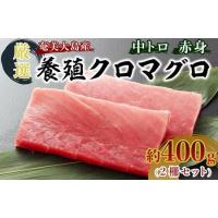 ふるさと納税 奄美大島産養殖クロマグロ 2柵セット 400g以上 中トロ 赤身 冷凍 | 黒マグロ 鹿児島県瀬戸内町 | ふるなび(ふるさと納税)