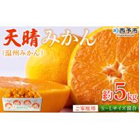 ふるさと納税 ＜愛媛県明浜産 天晴みかん（温州みかん）約5kg S〜L混合＞ 家庭用 訳あり ワケアリ 果物 くだもの フルーツ ミカン 柑橘 特産品 .. 愛媛県西予市 | ふるなび(ふるさと納税)