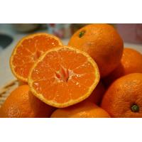 ふるさと納税 和歌山産 みかん 秀品 10kg【ヤマタ大谷商店】 和歌山県和歌山市 | ふるなび(ふるさと納税)