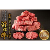 ふるさと納税 近江牛焼肉800ｇ・近江牛切り落とし300ｇ×3・角切り300ｇ×2 滋賀県守山市 | ふるなび(ふるさと納税)