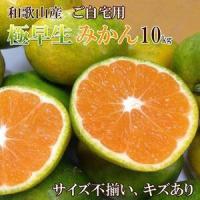 ふるさと納税 和歌山産 【極早生】みかん 10kg 【ご自宅用・サイズ不揃い・キズ等あり】【ヤマタ大谷商店】 和歌山県和歌山市 | ふるなび(ふるさと納税)