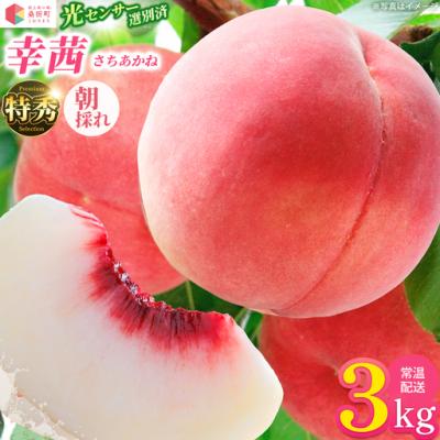 eityouさん専用　特大　桃 　幸茜　 ワケあり 規格外 2箱 幸茜（フルーツ 桃）｜フルーツ | 食品 のおすすめ人気商品一覧 通販