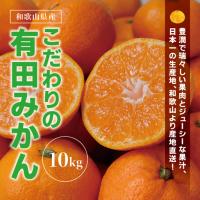 ふるさと納税 みかん 有田みかん 約10kg 大玉3L以上【nuk139F】  和歌山県北山村 | ふるなび(ふるさと納税)