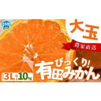 ふるさと納税 【農家直送】有田みかん 約10kg 大玉3L以上 有機質肥料100% ※2026年11月〜12月に順次発送予定(お届け日指定不可)【nuk139F】 和歌山県すさみ町 | ふるなび(ふるさと納税)